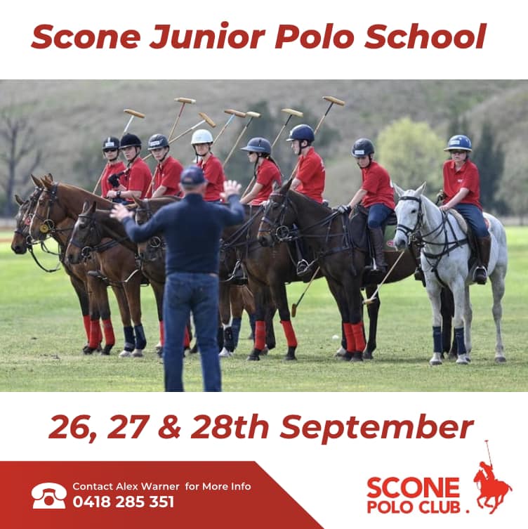 Scone polo school flyer