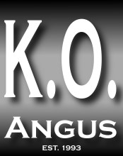 K.O. Angus